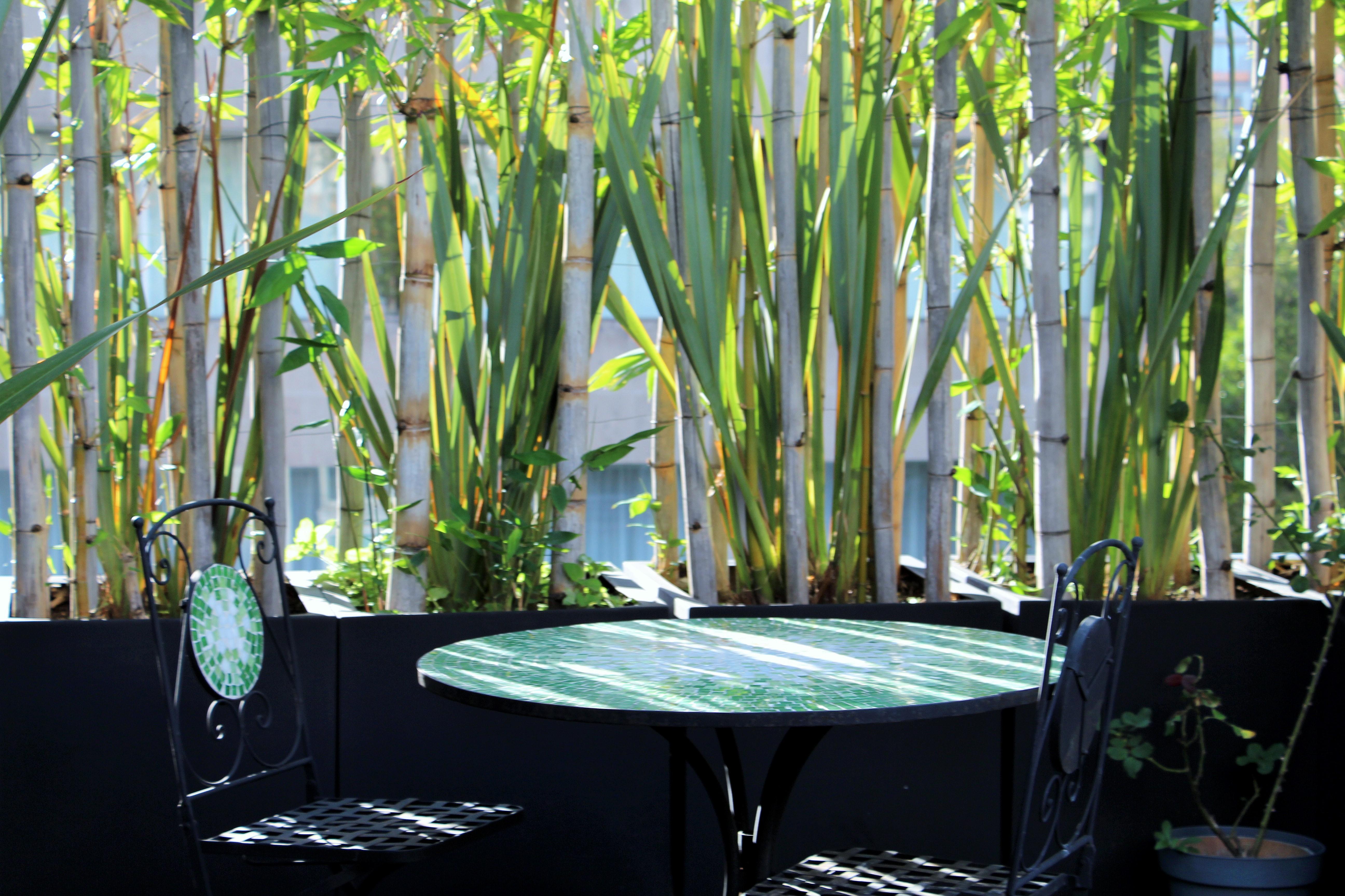 Residence L' Heritage Hipolito Taine By Bluebay เม็กซิโกซิตี้ ภายนอก รูปภาพ